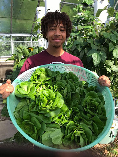 Stephon Warren holding a large basket of lettuce grown at the TAMU Urban Farm United.